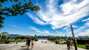公園